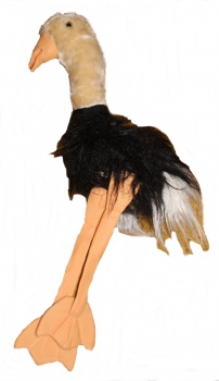 Vogelstrauß - Nr. 561