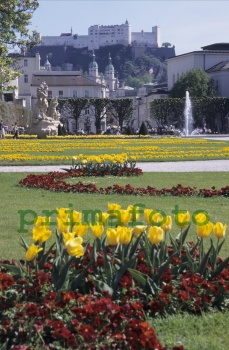 Leinwandfoto, Salzburg - Mirabellgarten Nr. 001