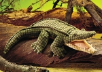 Folkmanis - Alligator - Nr. 2130