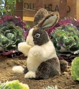 Folkmanis - Hase Baby dutch - Nr. 2571