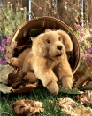 Folkmanis - Hund - Golden Retriever Baby - Nr. 2862