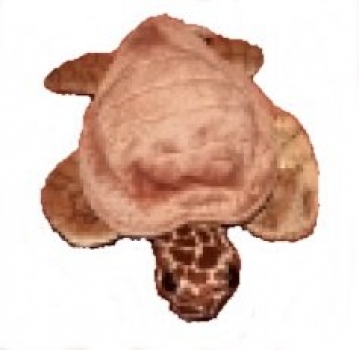 Folkmanis - Mini Schildkröte braun - Nr. 2676