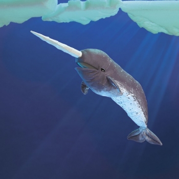 Folkmanis - Wal - Narwal - Nr. 3105