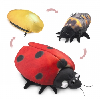 Folkmanis - Marienkäfer Metamorphose - Nr. 3148
