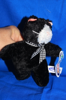 Mini - Katze schwarz gehend