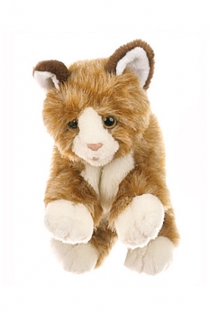 Katze braun, W044