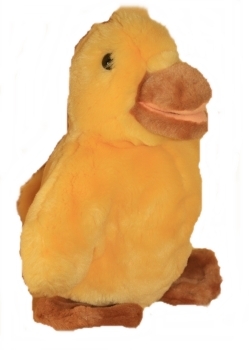 Kücken - F103 - 25 cm