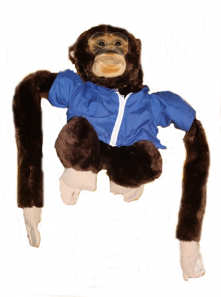 Affe - Nr. 562