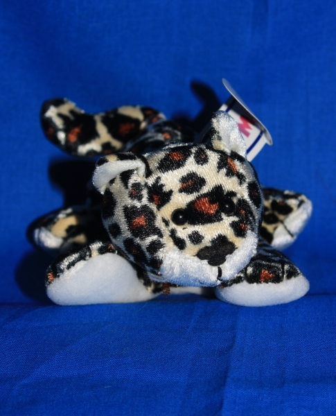 Mini - Leopard gehend - Tippy Toes