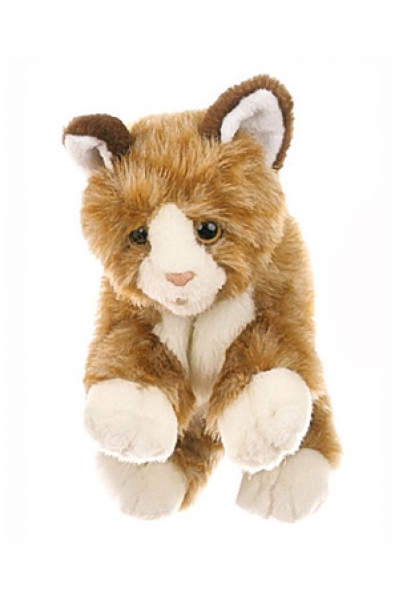 Katze braun, W044