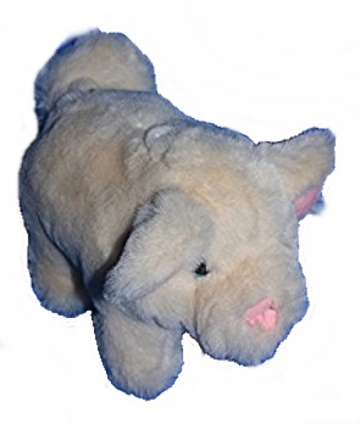 Schwein - Althans