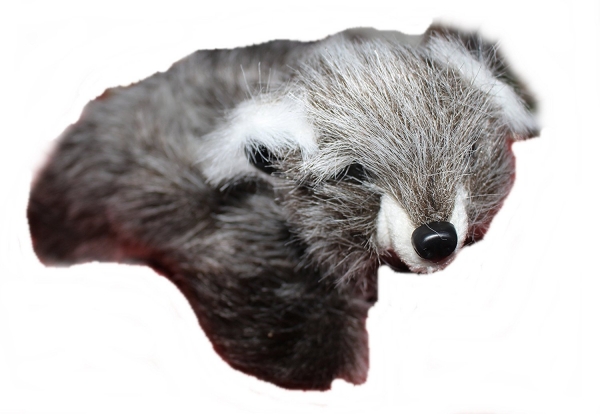 Waschbär, 25 cm, MB110