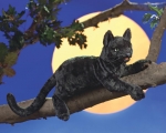 Folkmanis - Katze schwarz - Nr. 2987