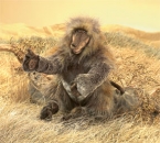 Folkmanis - Affe - Pavian