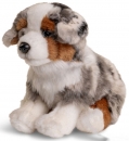 UniToys - AustralischerSchäferhund Welpe-Nr. HA271210 - Ohne Leine Kuschel/Plüschtier