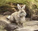 Folkmanis - Hase Baumwollschwanz-Kaninchen - Nr. 2891